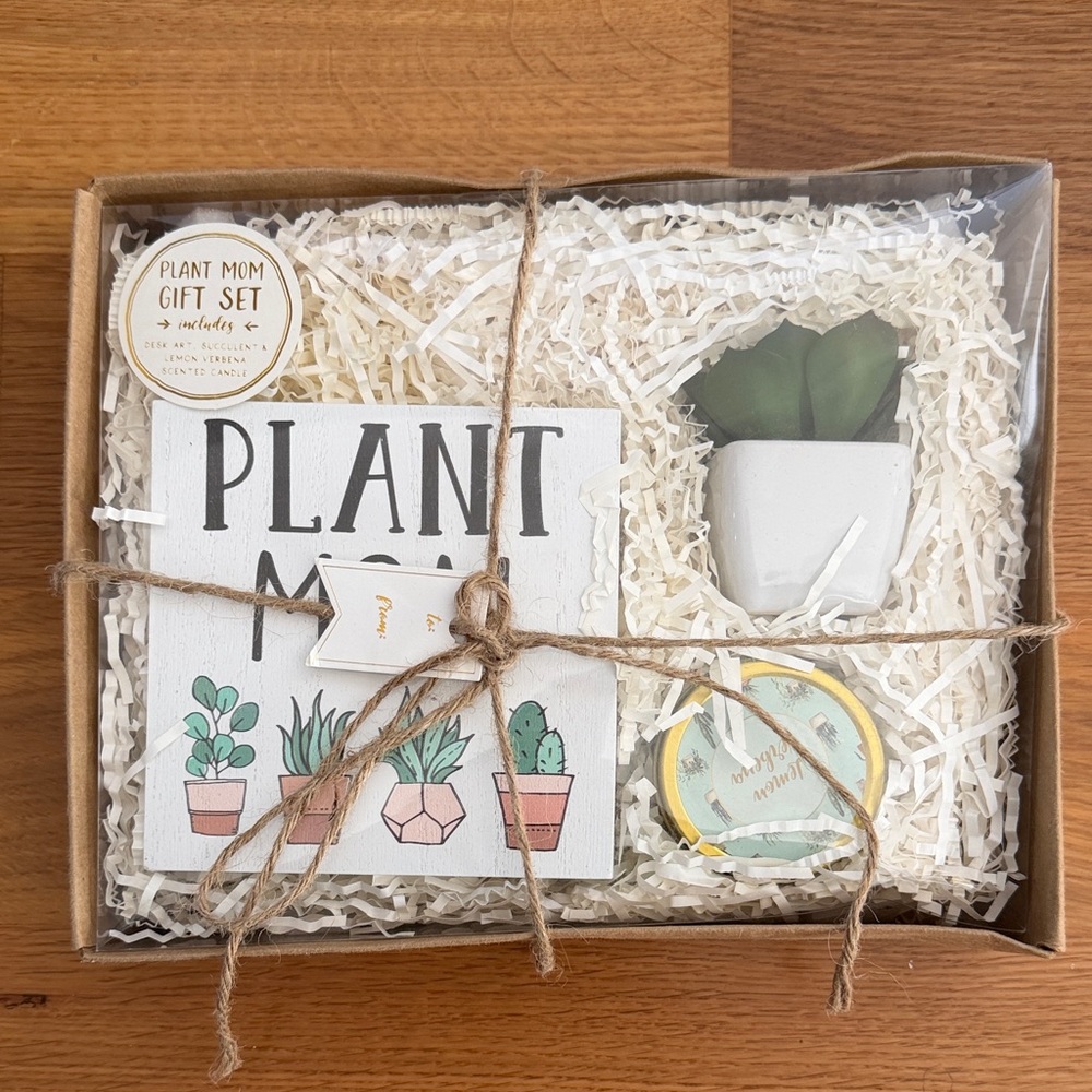 Plant Mom Gift Set with Succulent